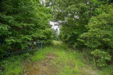 115 Baudy James Rd, Cedar Grove, TN 38321 - photo 3