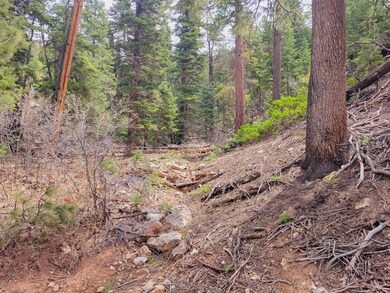 Of the Area3