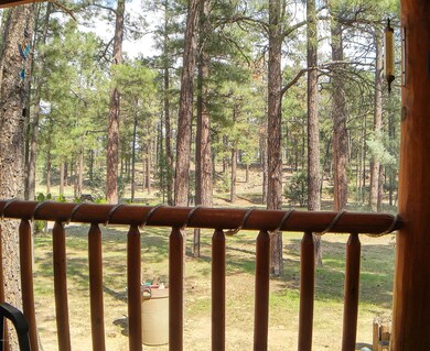 VIEW FROM FRONT DECK