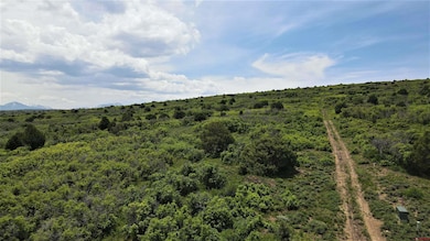 10 N Reserve Dr, Norwood, CO 81423 - photo 4