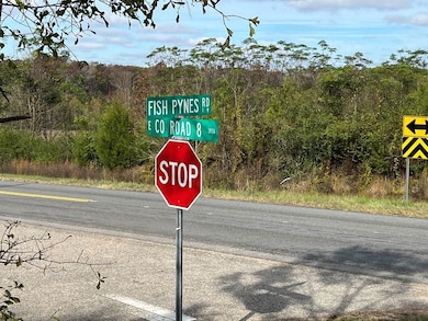 0 Fish Pynes Rd, Pansey, AL 36370 - photo 5