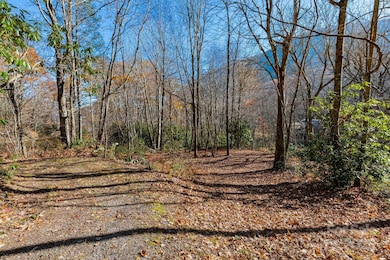 Lot Huckleberry Dr unit 24, Maggie Valley, NC 28751 - photo 4