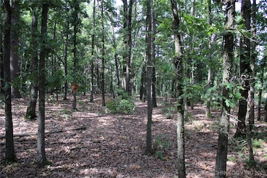 0000 E 484 Rd, Jay, OK 74346 - photo 5