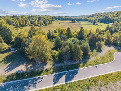 6542 Woodchuck Hill- Lot 3, Dewitt, NY 13078 - photo 5