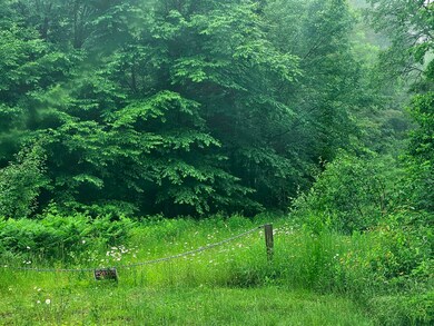 Lot 2-12 Diamond Match Rd, Milo, ME 04463 - photo 2