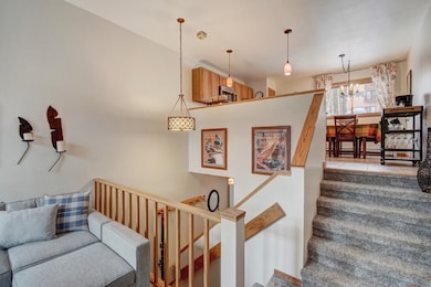 10000 Ryan Gulch Rd unit 109, Silverthorne, CO 80498 - photo 4