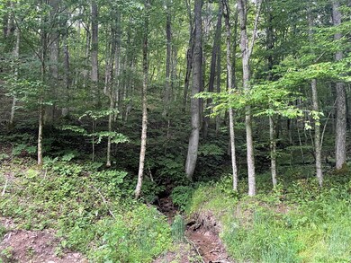 000 Chestnut Ln, Mars Hill, NC 28754 - photo 2