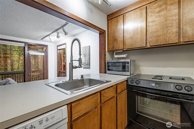 10500 Mt Baker Hwy unit 815, Deming, WA 98244 - photo 6