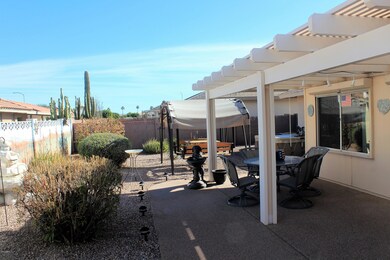 Low maintenance back yard