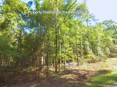 BLOCK 21 LOT 01 Juniper Trail, Waverly Hall, GA 31818 - photo 7