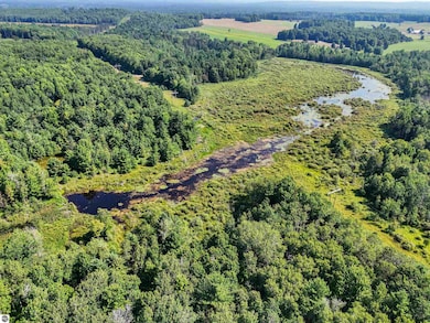 00 W Arnold Rd, Manton, MI 49663 - photo 2