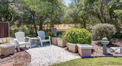 Beautiful Garden Area