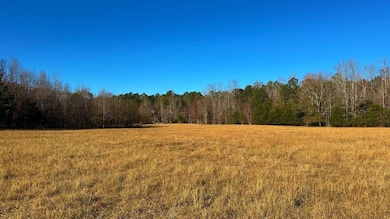 0 Oscar Walton Rd unit 24714036, Tignall, GA 30668 - photo 2