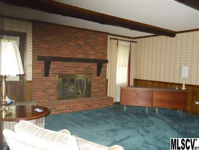 Fireplace in LR