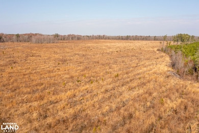 0 Mapleton Rd, Murfreesboro, NC 27855 - photo 6