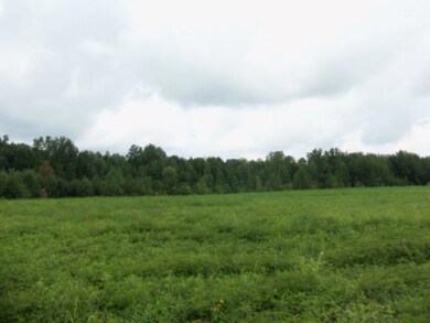 5 18 Acres Baxter Rd Lot 3, Baxter, TN 38544 - photo 2