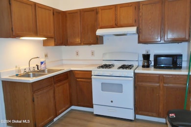 80-82 Milton Ave unit 3, Ballston Spa, NY 12020 - photo 3