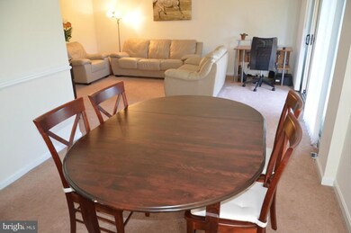 39 Canterbury Square unit 202, Alexandria, VA 22304 - photo 5