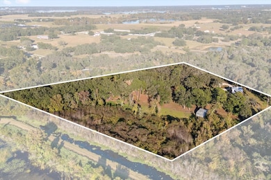 27201 Woodhollow Rd, Mount Dora, FL 32757 - photo 3