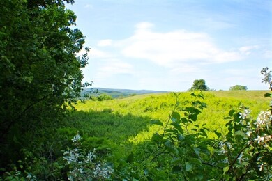 0 Welcome Hill Rd unit 4809956, Chesterfield, NH 03466 - photo 3