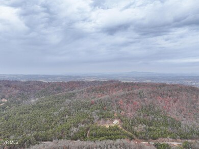 750 Tom White Hollow Rd, Mohawk, TN 37810 - photo 5