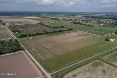5-web-or-mls-DJI_0138