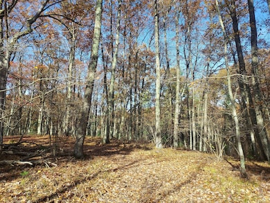 French Rd, Amberg, WI 54156 - photo 5