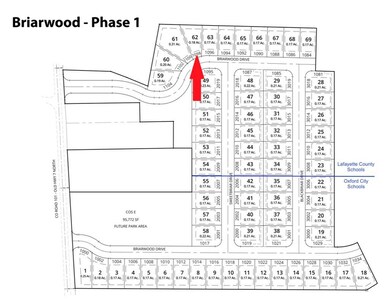 1098 Briarwood Dr, Oxford, MS 38655 - photo 5