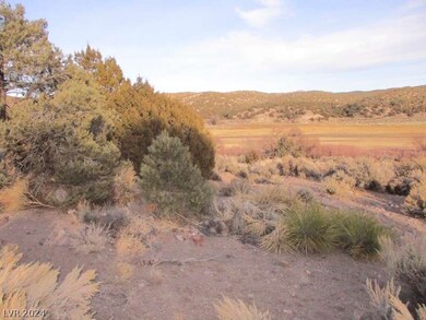 0 Nevada Hwy 322 (9 86 Ac) unit 2569952, Pioche, NV 89043 - photo 6