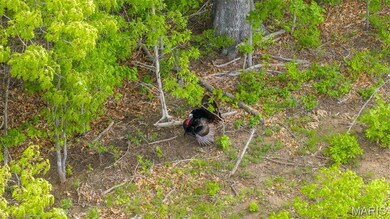 0 TRACT #3 Hwy V, Owensville, MO 65066 - photo 7