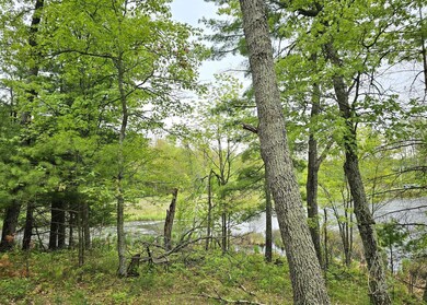 7022 Pot of Gold Rd, Danbury, WI 54830 - photo 6