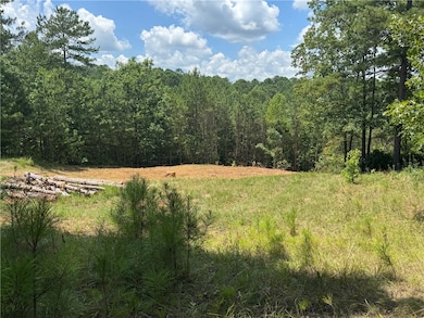 384 Cliffs Pkwy S, Salem, SC 29676 - photo 2