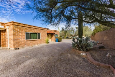 Driveway Looking Out 1