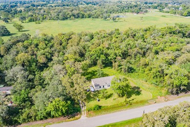 17818 County Road 858, Brazoria, TX 77422 - photo 6
