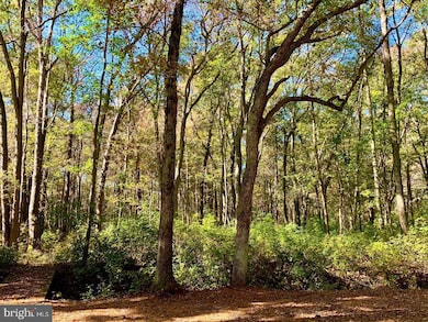 3833 Tuckahoe Rd, Williamstown, NJ 08094 - photo 3