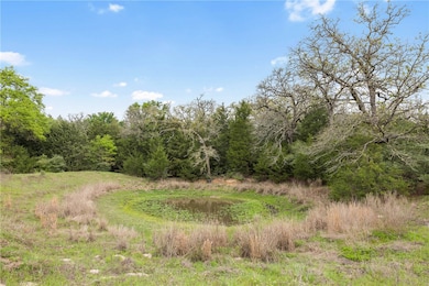 View of local wilderness with a wooded view