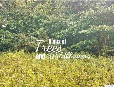 551 Grand Valley Dr, Howard, OH 43028 - photo 3