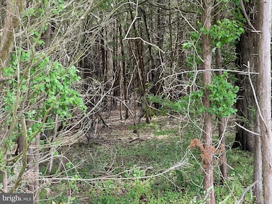 0 E Main St unit NJOC2025964, Tuckerton, NJ 08087 - photo 4