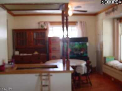 58 W Ashtabula St, Jefferson, OH 44047 - photo 5