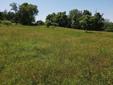 000 S Highway 97, Benton Township, MO 64756 - photo 2