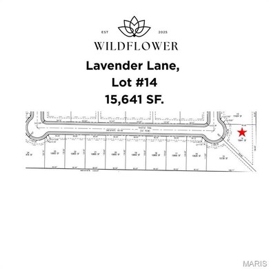 Lot #14 Survey Detail