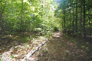 TBD Towle, Chichester, NH 03258 - photo 5