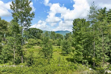 527 Governor Wentworth Hwy unit 27, Center Tuftonboro, NH 03816 - photo 6