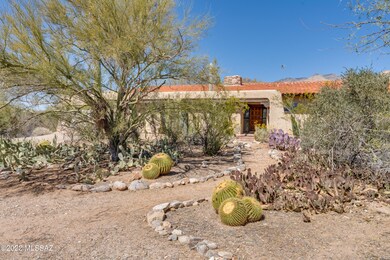 Beautiful Desert Vegetation