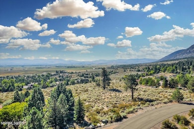 1211 Quail Ridge Rd, Gardnerville, NV 89460 - photo 2