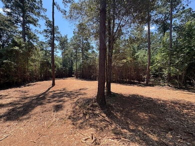 0 Old Rumble Rd, Forsyth, GA 31029 - photo 2