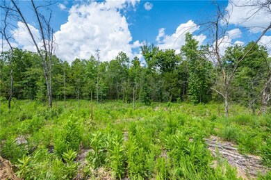 0 Lot 113 Lookout Pine Cir, Broken Bow, OK 74728 - photo 2