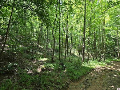 00 Pecan Dr, Cadiz, KY 42211 - photo 2