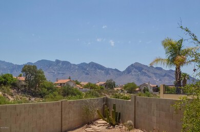 Views From Backyard