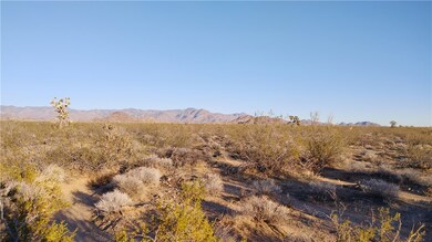 3501 S Wild Bill Rd, Yucca, AZ 86438 - photo 4